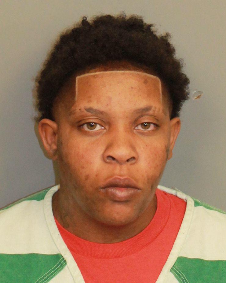 mugshot of HAMLER, CAMILLE ELISE