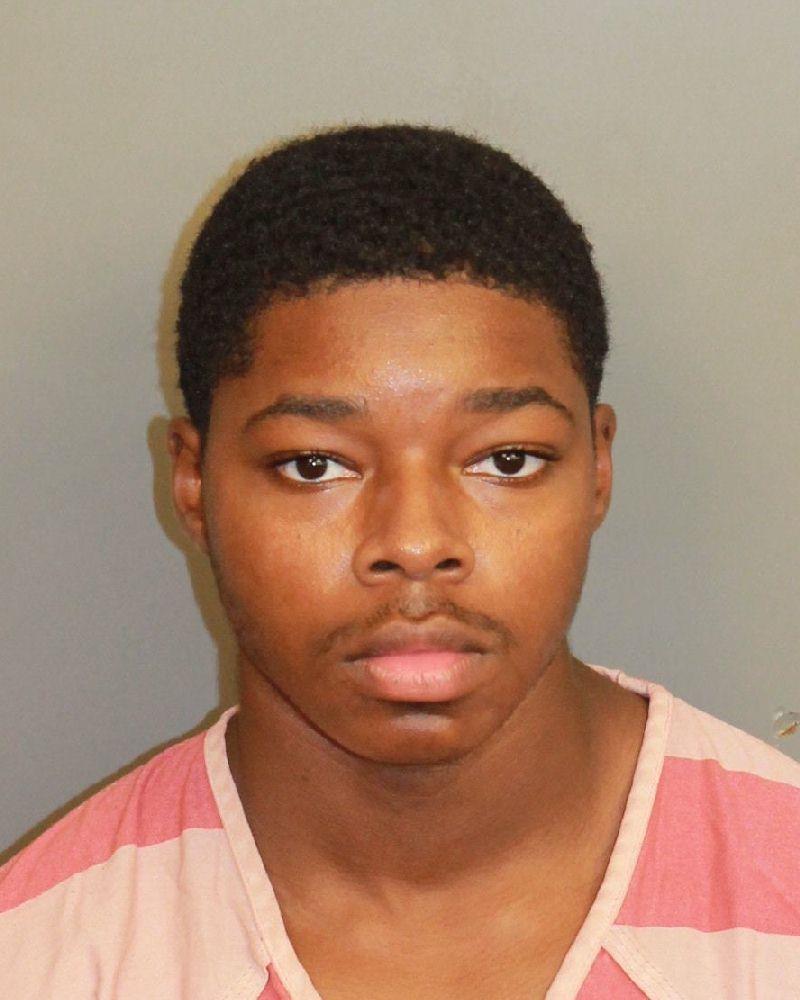 mugshot of JOHNSON, JA'MARI DEWAYNE