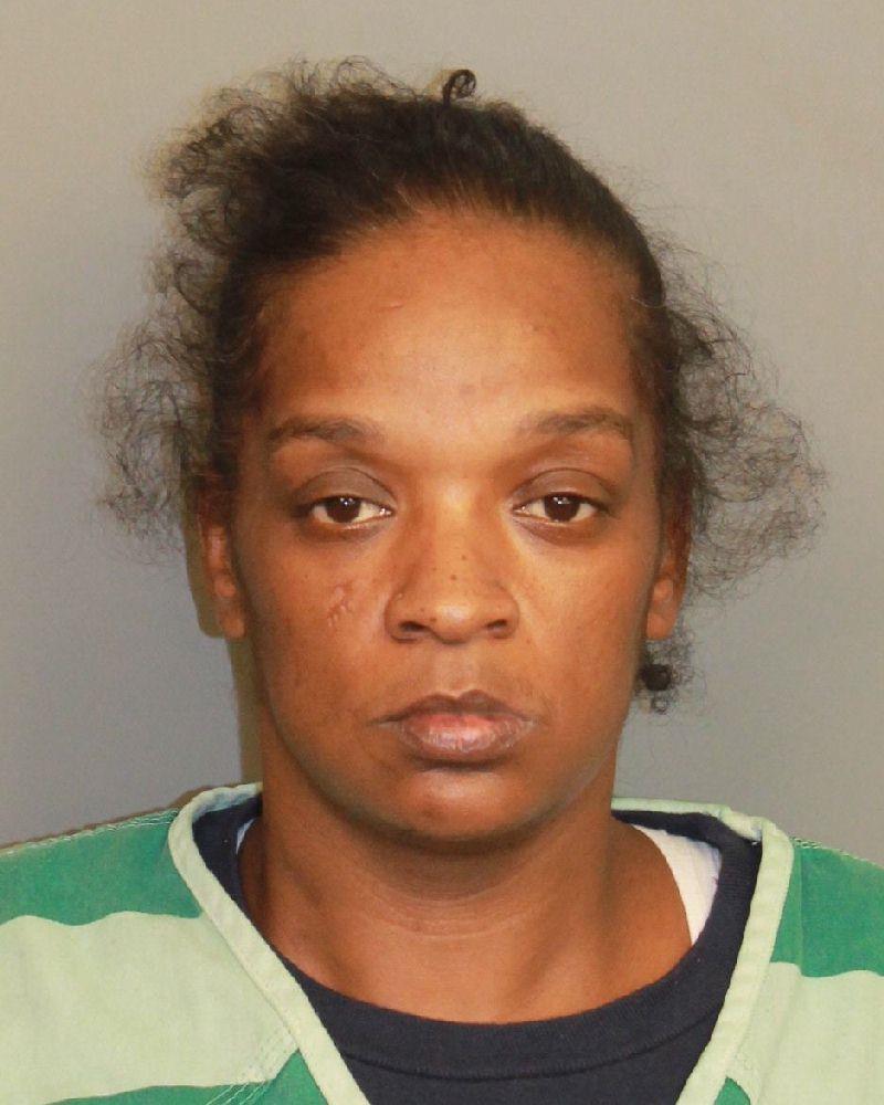 mugshot of PINA, NATASHA YVONNE