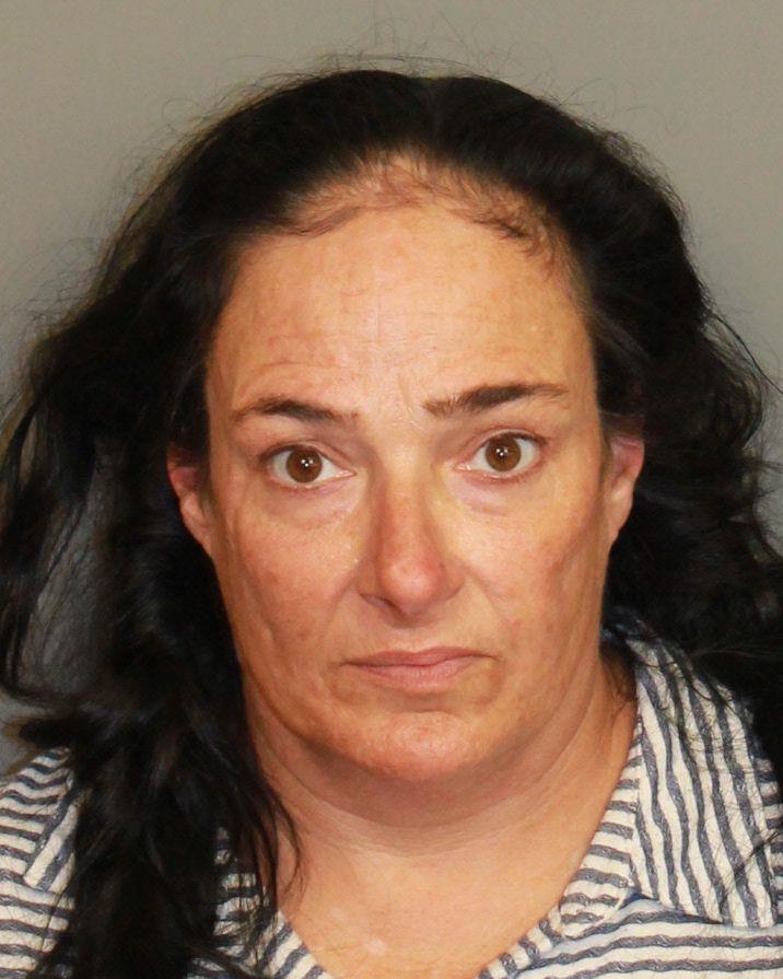 mugshot of BEESE, LORI J