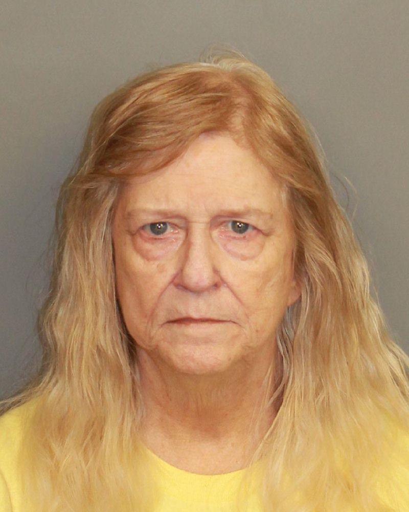 mugshot of HOLMES, DINAH RUTH-MELVIN