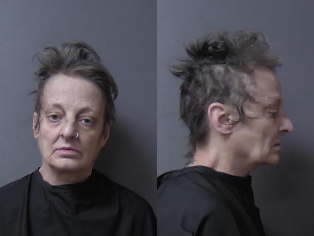 mugshot of Dudley, Lillian Lynette