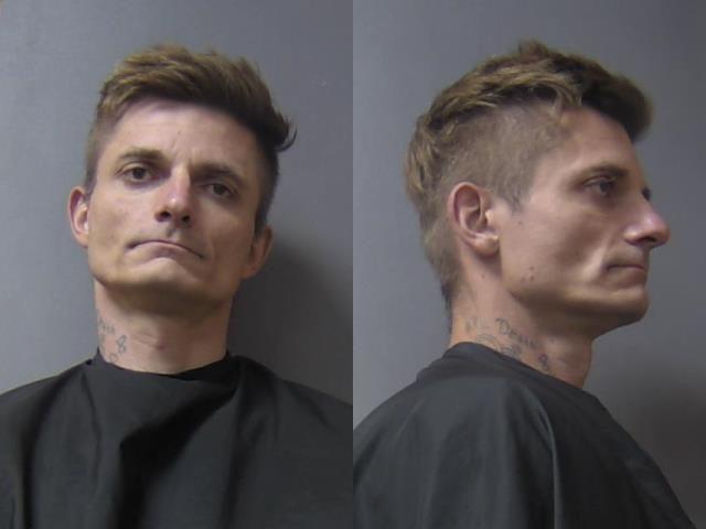 mugshot of Rice, Wally Edward Junior
