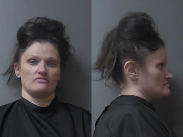 mugshot of Johnson, Natasha Marie