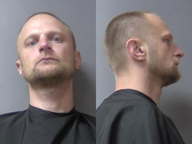 mugshot of Davis, Erin Lee