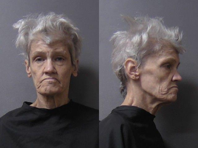 mugshot of Surber, Lisa Kay