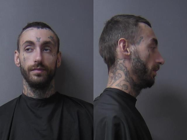 mugshot of Miller, Robert Louis Third