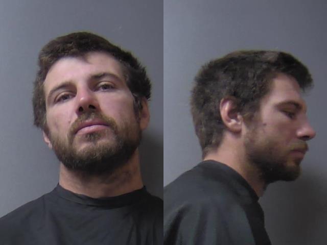 mugshot of Johnson, Trever Lee
