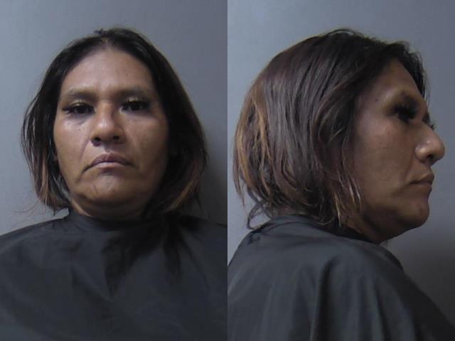 mugshot of Raymundo-Mena, Celia Isabell