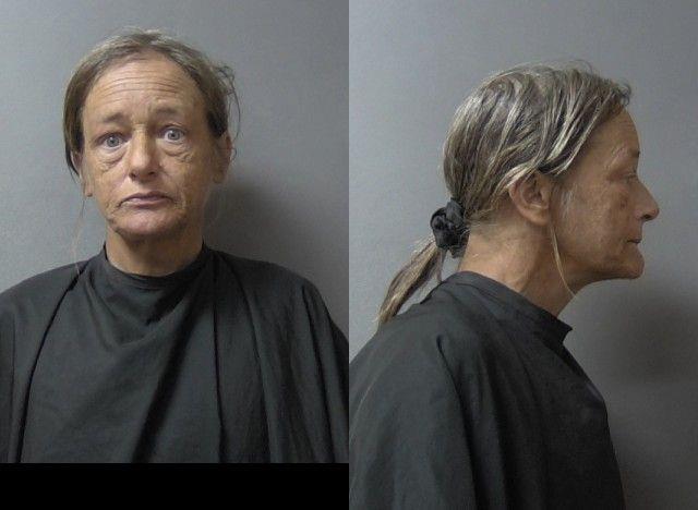 mugshot of Wilson, Aimee Danielle