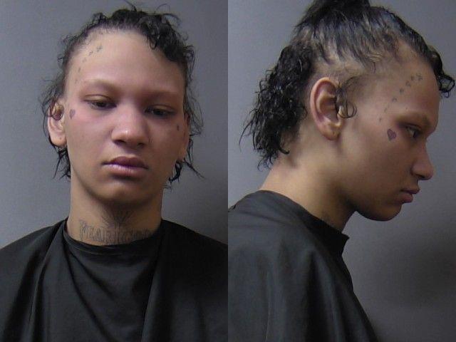 mugshot of Griffin-Greenlee, Abbrianna Tylynn