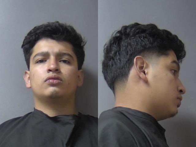 mugshot of Galdamez, Ricardo Antonio