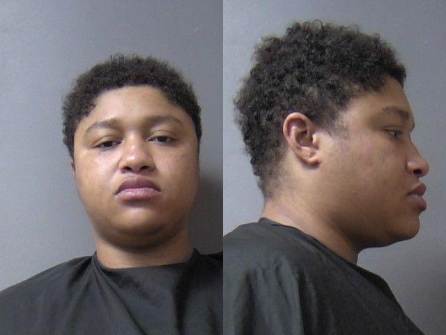 mugshot of Johnson, Ashley Dee