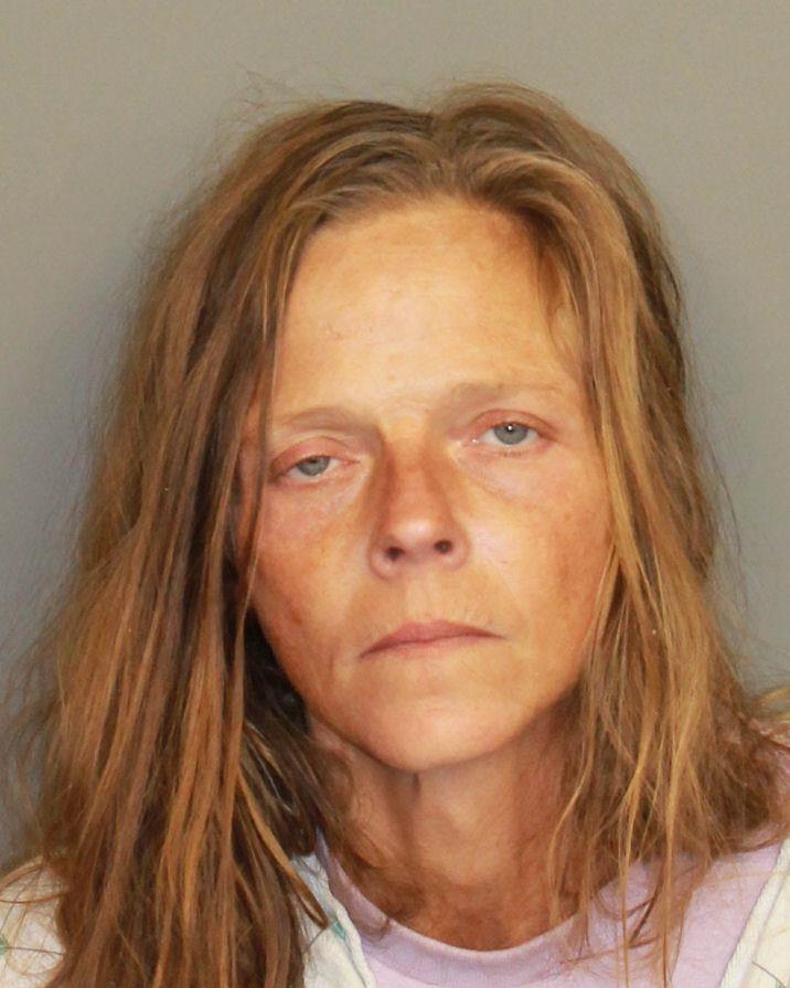 mugshot of NEWELL, MISTY MARIE
