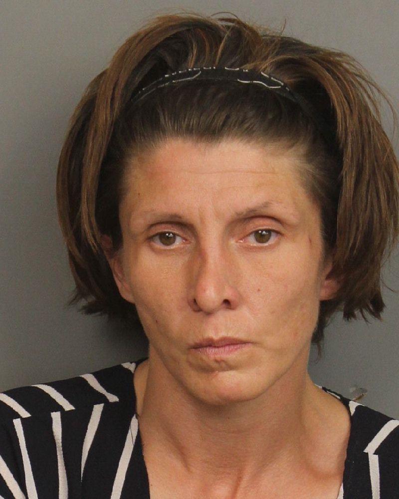 mugshot of BRIDGES, BRIANA RAE