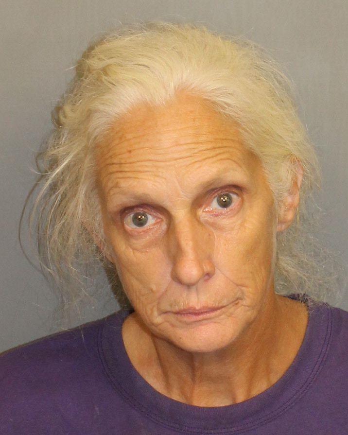 mugshot of SHORES, LISA KAY