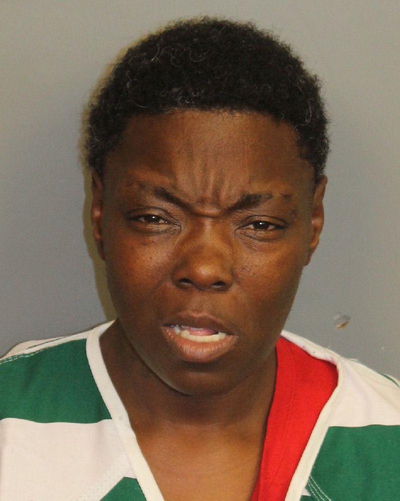 mugshot of FLETCHER, SHERIKA MARIE