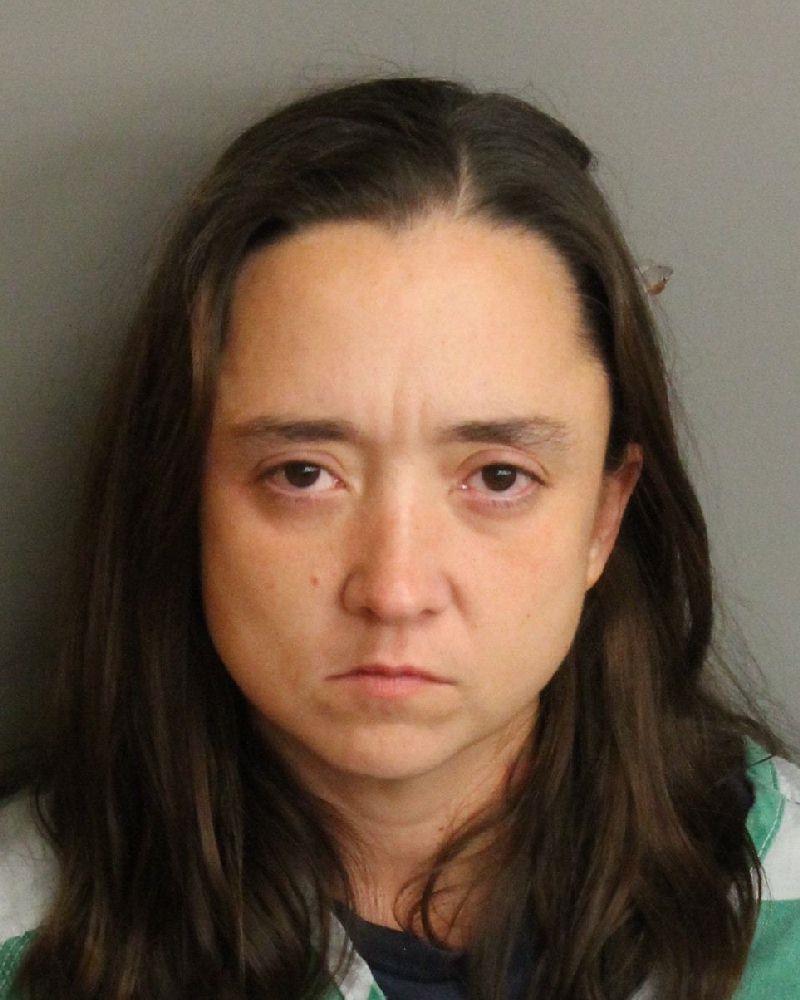 mugshot of WHITE, KIMBERLY ANN