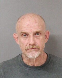 mugshot of BRIAN  GOODWIN