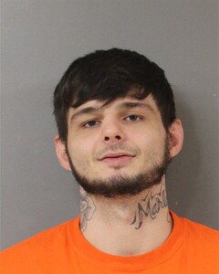 mugshot of TANNER  LIVERMAN