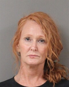 mugshot of TAMI  BURCHFIELD