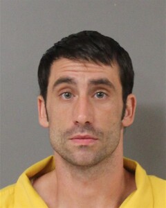 mugshot of COY  WILLARD