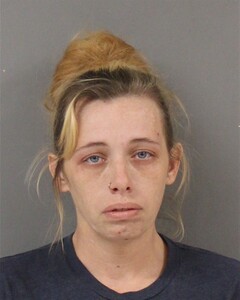 mugshot of FALLON  BRESSEALE