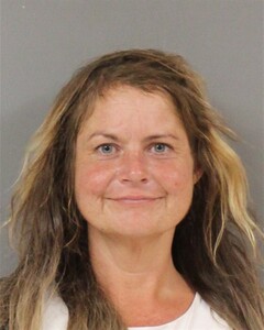 mugshot of BRITTANY  TURNER