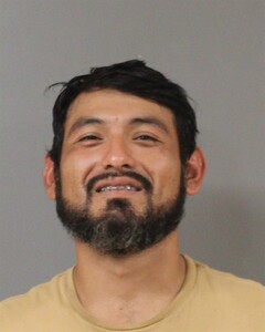 mugshot of GUILLERMO  MARTINEZ