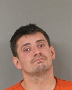 mugshot of DARIAN  HOHN