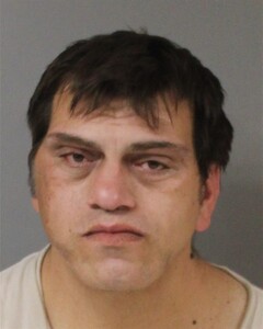 mugshot of STEVEN  SCHULTZ