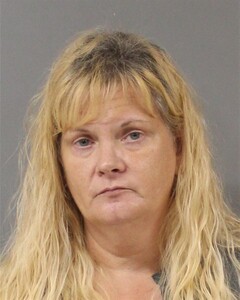 mugshot of LISA  LYNN