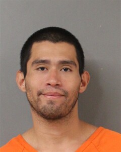 mugshot of JAVIER  HERNANDEZ