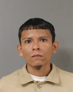 mugshot of JOSE  VILLANUEVA