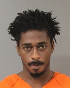 mugshot of ARI VALENTINO  MEREDITH