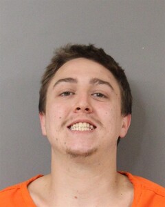 mugshot of PRESTON  TURNER