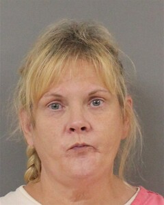 mugshot of LISA  LYNN