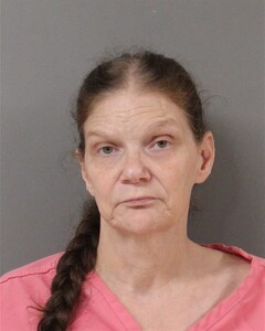 mugshot of TAMMY  RYE