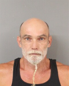 mugshot of STEVEN  GILL