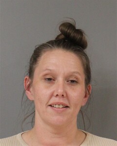 mugshot of STEPHANIE  PARTEE