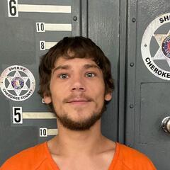 mugshot of LEVI  WIGLEY
