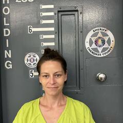 mugshot of BRANDI  DURHAM