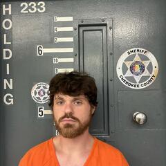mugshot of ALEX  POOLE
