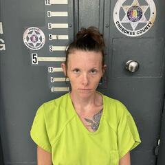 mugshot of BRITTANY  EDWARDS