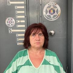 mugshot of STACEY  KING