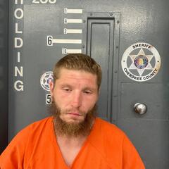 mugshot of ARIEN  GRAY