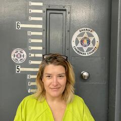 mugshot of JESSICA  PHILLIPS