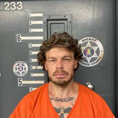 mugshot of JIMMIE  SHEPARD