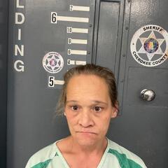 mugshot of SANDY  SPURLOCK