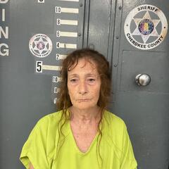 mugshot of SHERRY  ABERNATHY